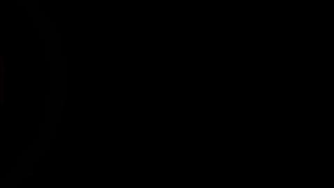 33543